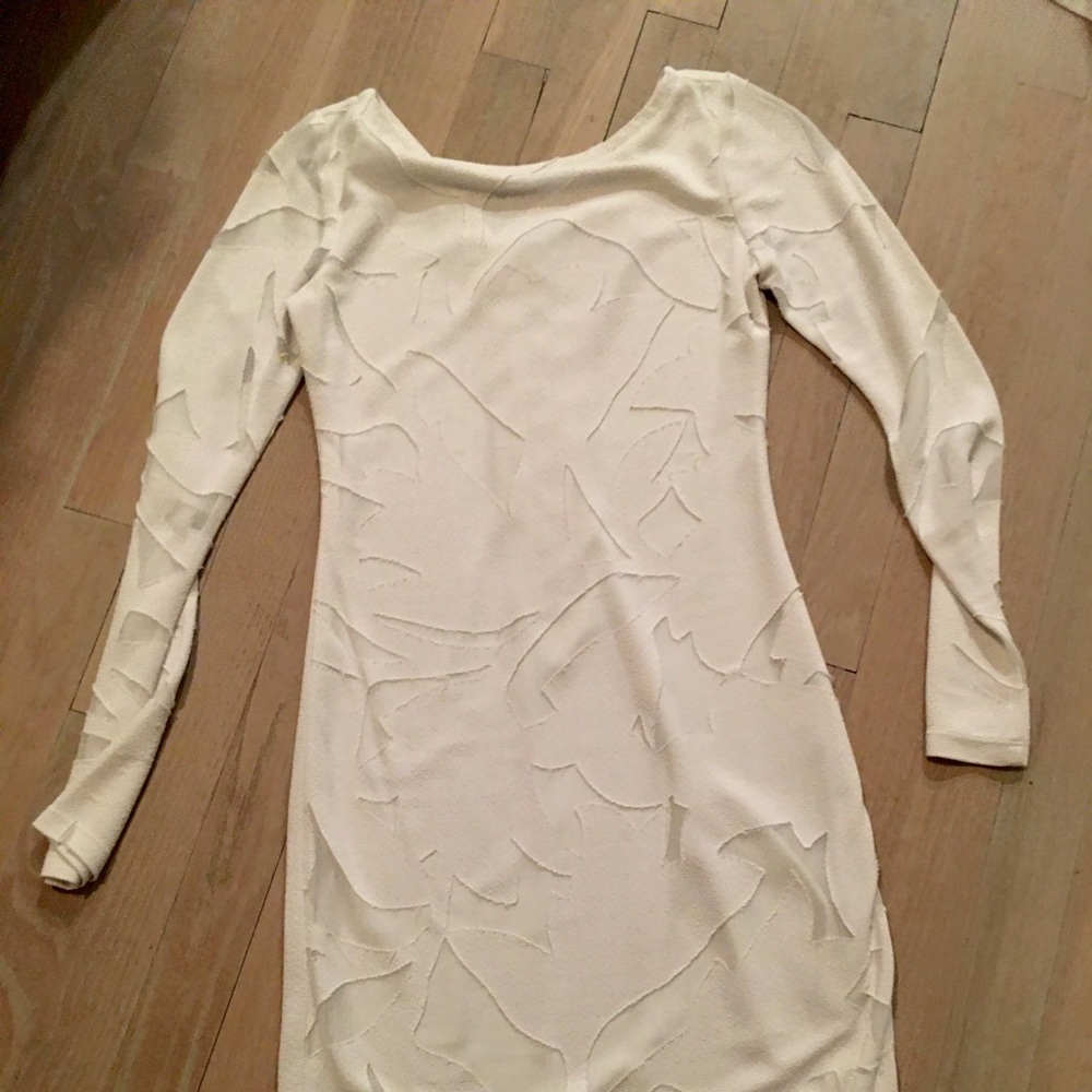 Yoana Baraschi dress